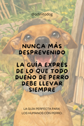 Nunca Más Desprevenido: La Guía Exprés de lo que Todo Dueño de Perro Debe Llevar Siempre